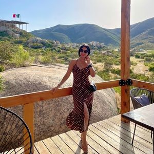 Zara  brown polka dot midi dress ! Only use once ! Excellent conditions